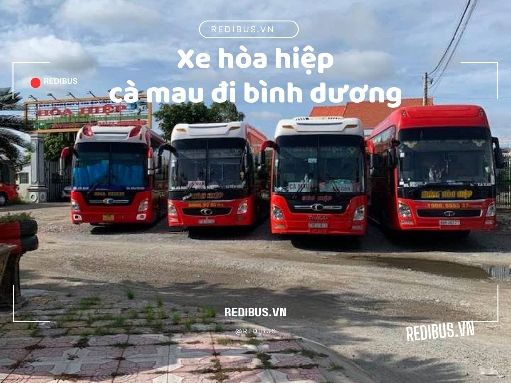 Xe khách Hòa Hiệp với dịch vụ chất lượng và đáng tin cậy xe khách Hòa Hiệp với tần suất đà dạng chạy sáng và tối